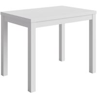 Asztal Rubin 100x65 fehér