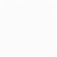 Monolook White Lappato 59,8/59,8