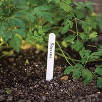 Névtáblák növényekhez 15x1,5 cm 25db/csomag TYE1515