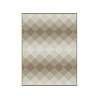 Szőnyeg Bcf Reverso 2,0/2,8 2088 3834 Cl12