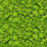 Üveg panel 60/60 Evergreen-1 Esg